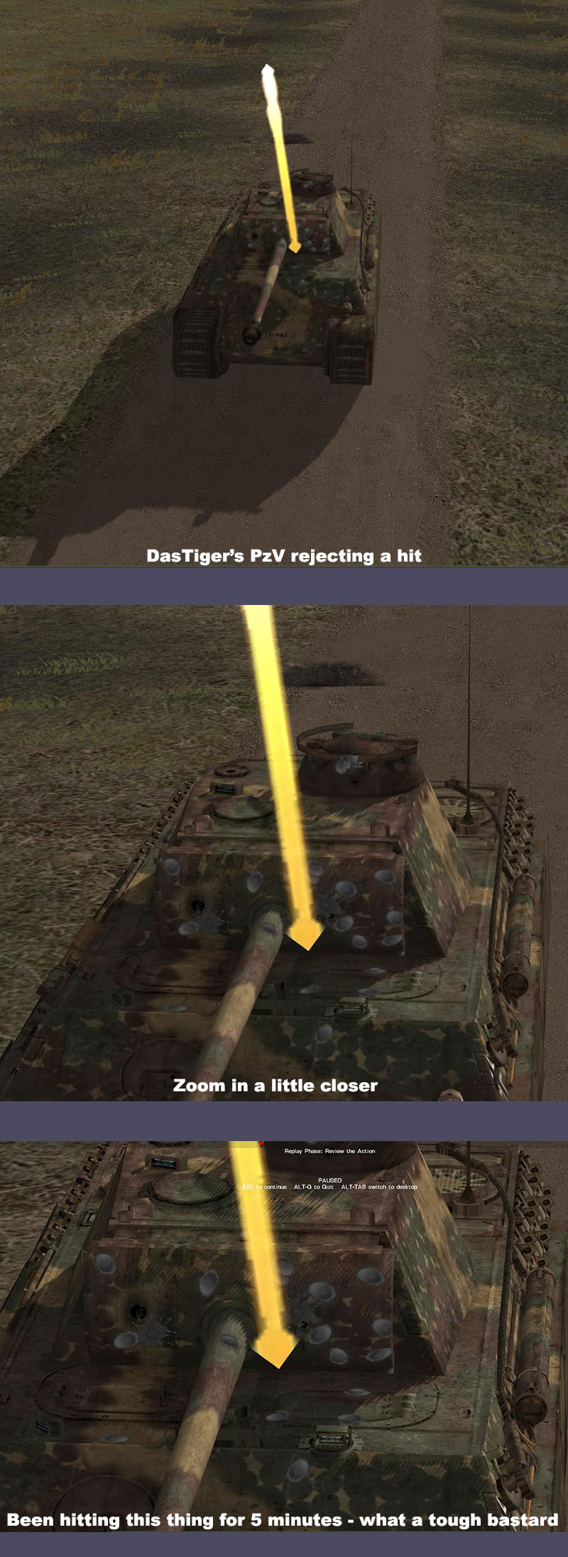 dtpanther.jpg