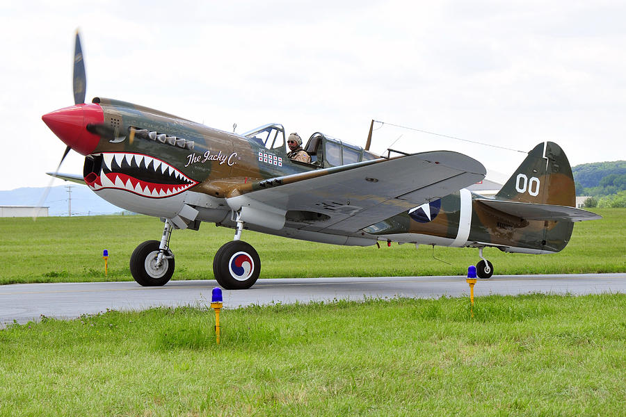 p40-3.jpg